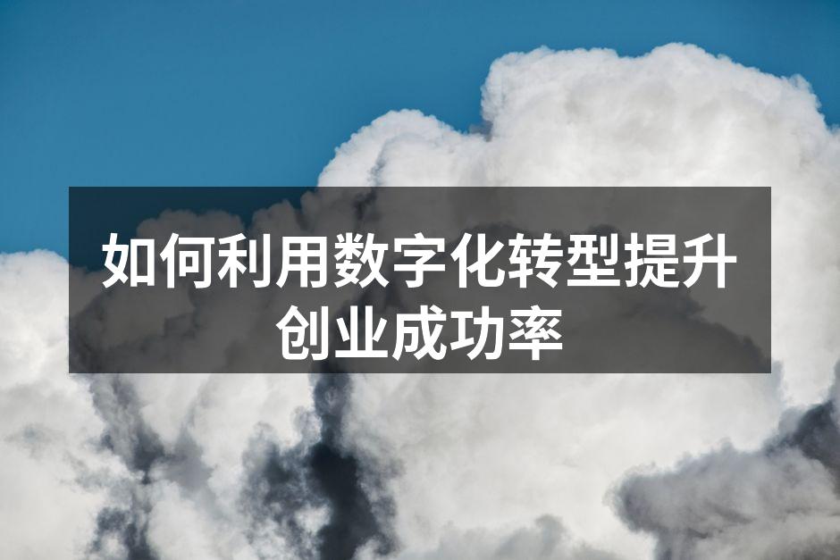 如何利用数字化转型提升创业成功率