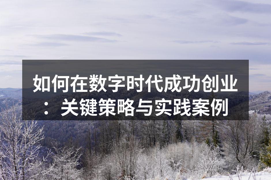 如何在数字时代成功创业：关键策略与实践案例